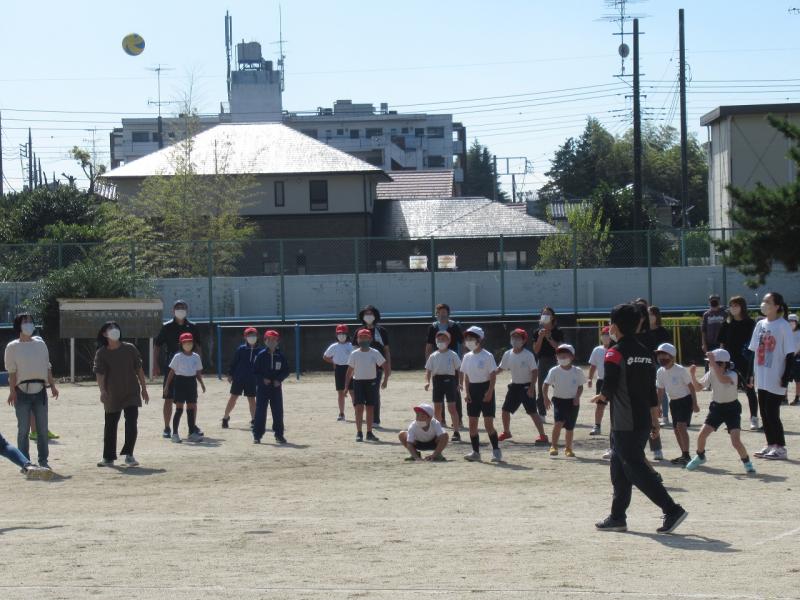 親子ドッジボール大会