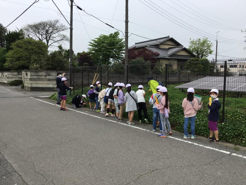 車に気をつけて歩いて行きました