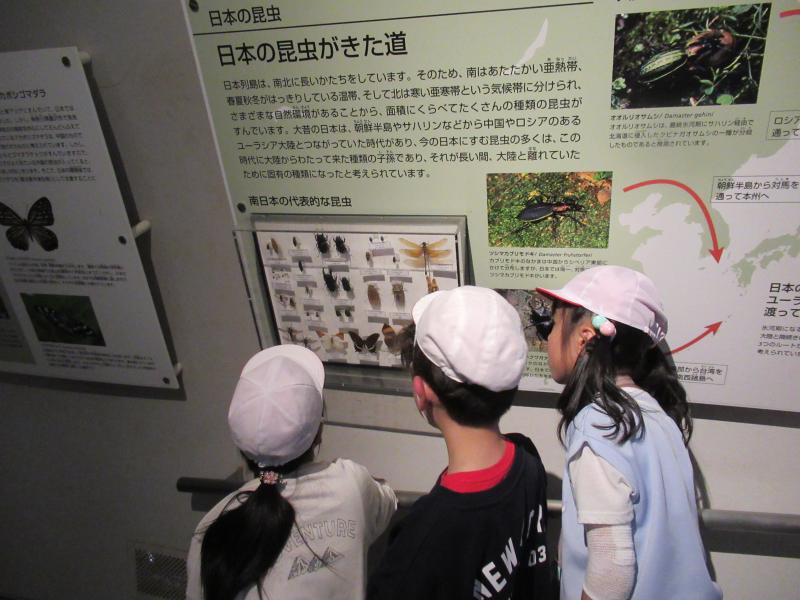 IMG_4561a.JPG