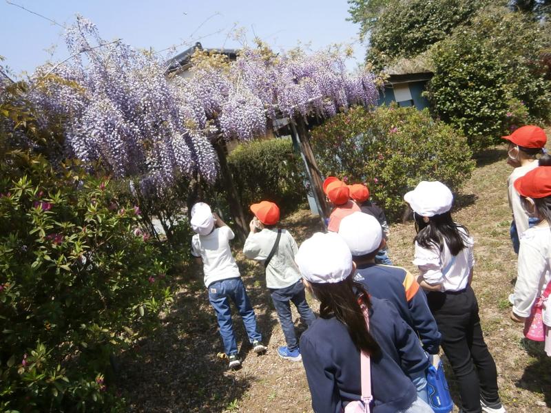 町探検