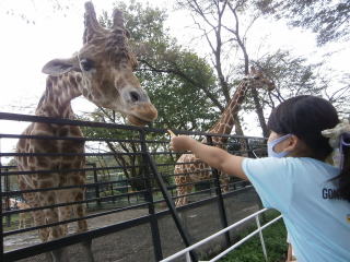 宇都宮動物園9
