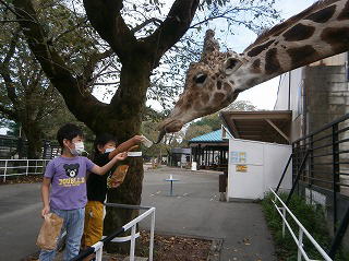 宇都宮動物園3