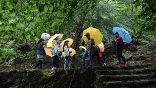 6年総合「足尾で植樹」8