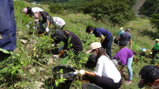 総合的な学習の時間で足尾現地学習6