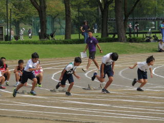 館林市陸上記録会の様子3