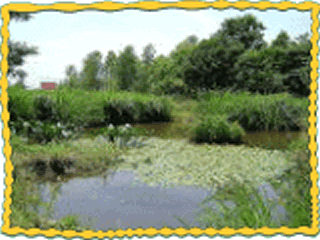 蛇沼湿原の画像