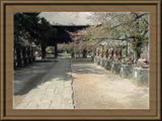 茂林寺の画像