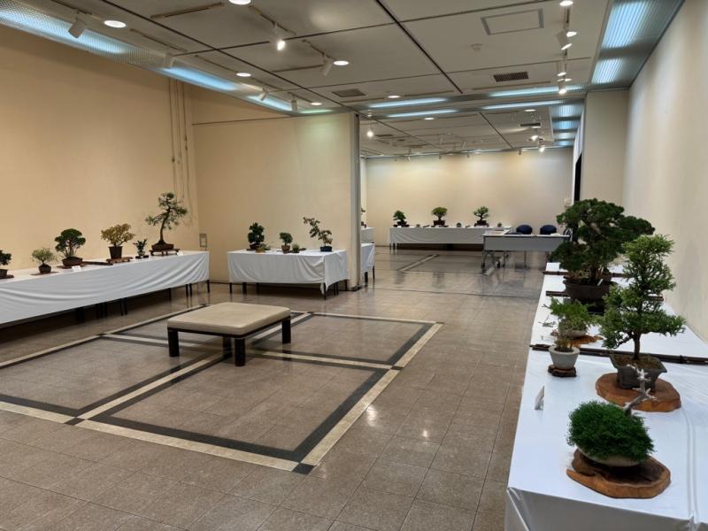 令和６年度市民園芸展の様子１