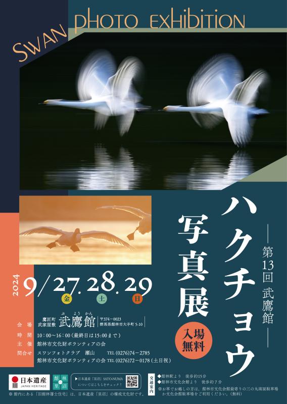 2024swanの画像