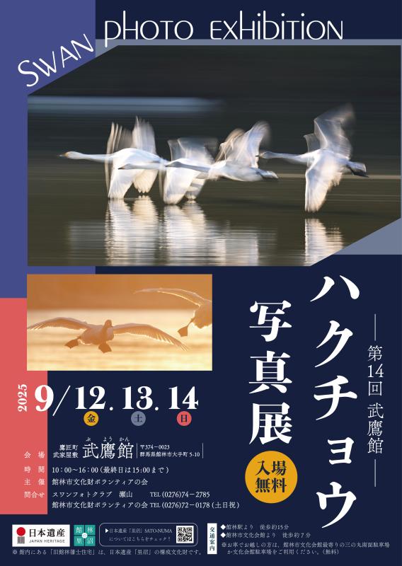 2025swanの画像