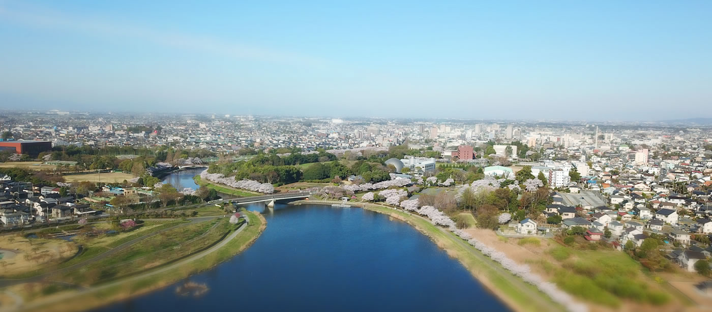 館林市航空写真の画像