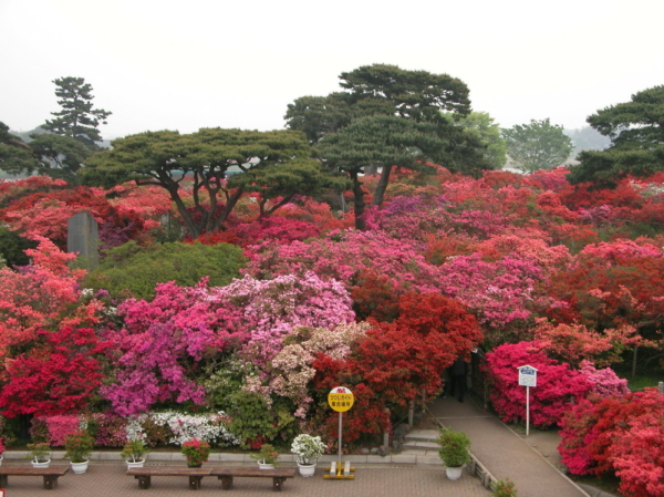 公園概要の画像