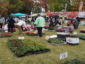 第42回産業祭（平成30年11月18日）の様子（2）の画像