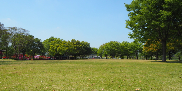 大芝生広場の画像