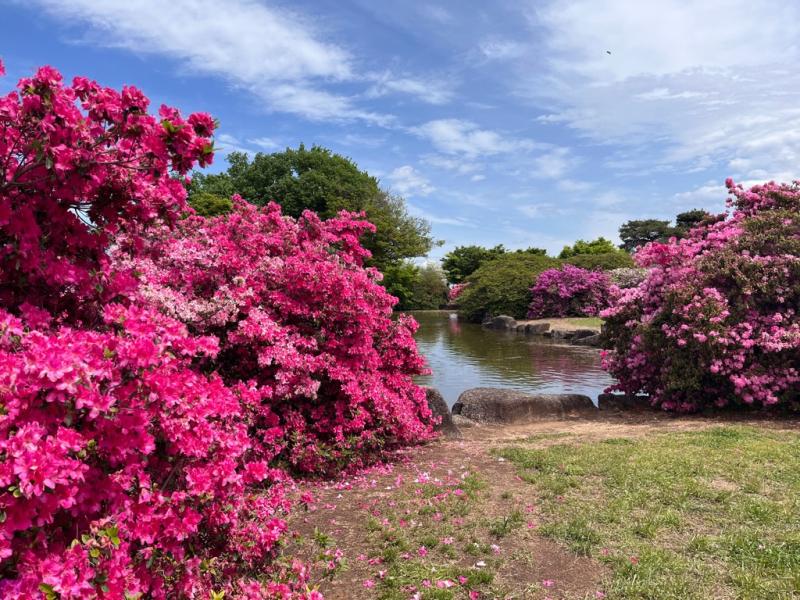 平成公園の画像
