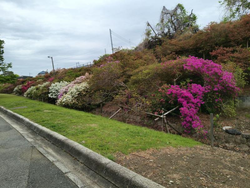 新公園の画像