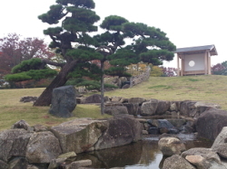 JAPANESE GARDEN