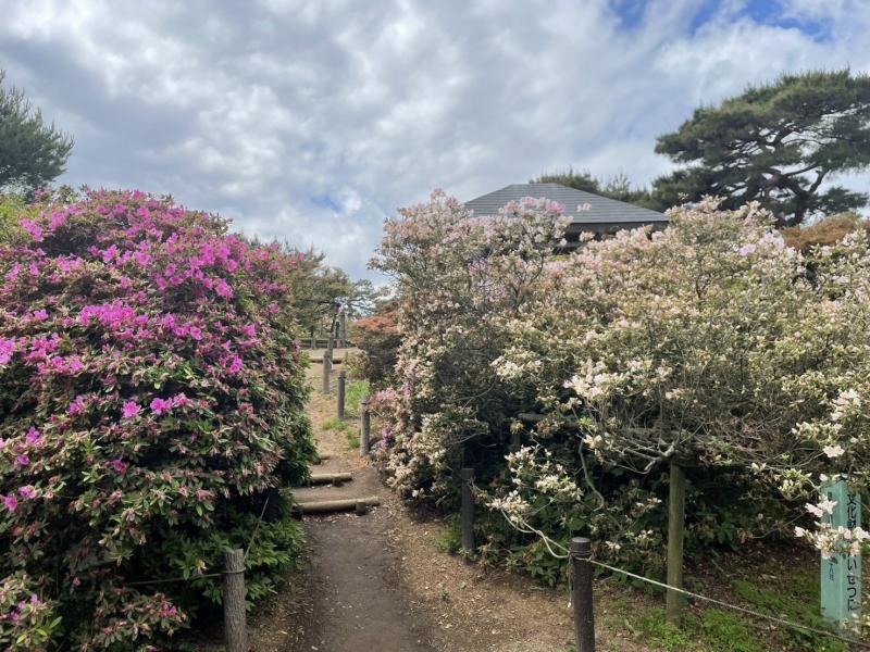 旧公園の画像