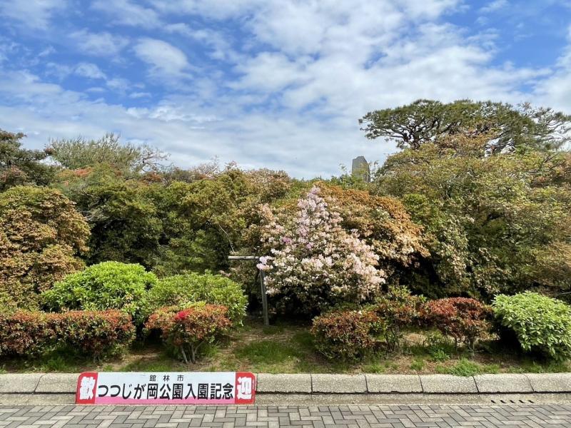 正面の画像