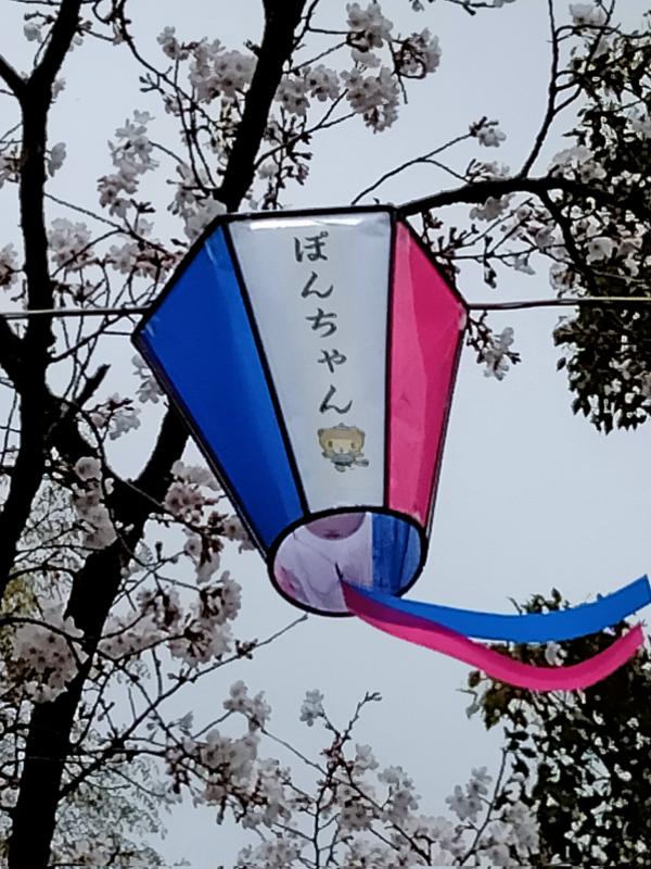 館林さくらまつりぼんぼり協賛大募集の画像