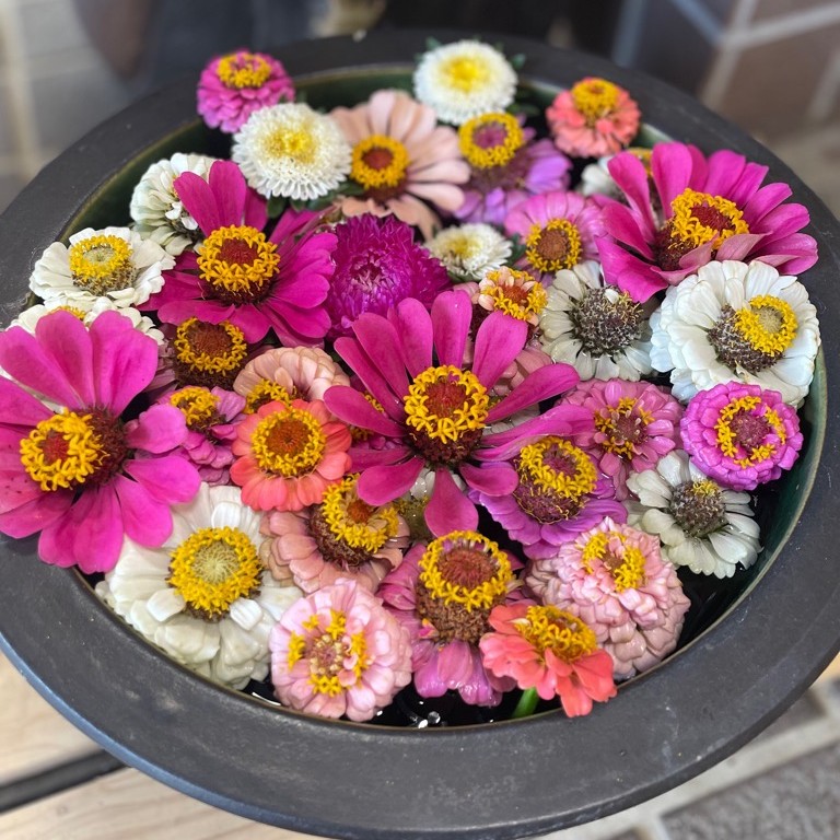 花手水を展示していますの画像