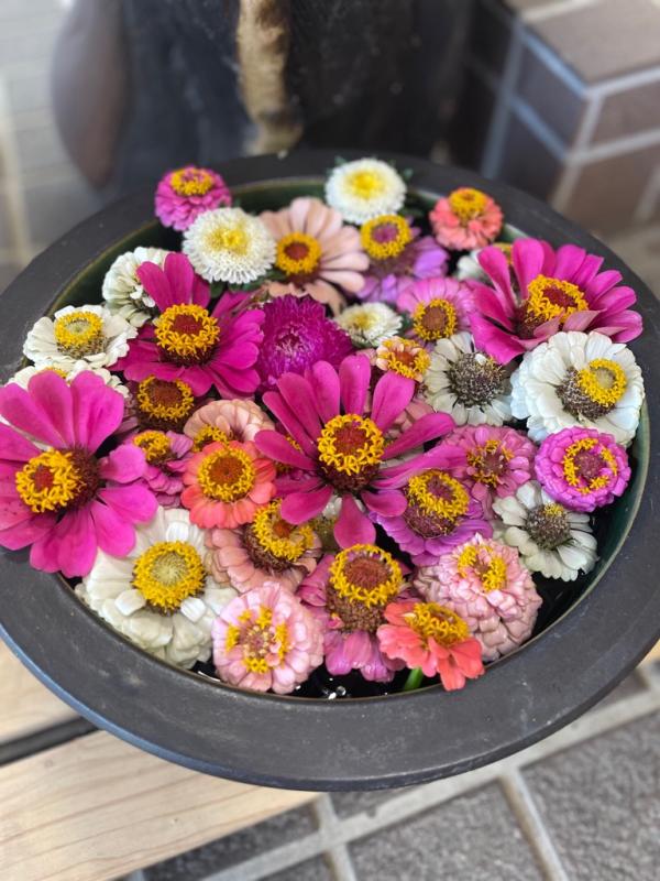 花手水の写真の画像