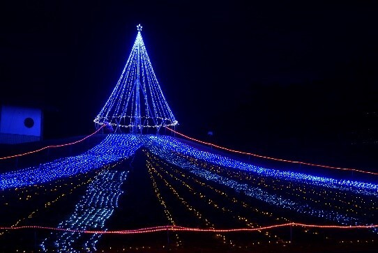 つつじが岡公園イルミネーション＆ウインターイベントの画像