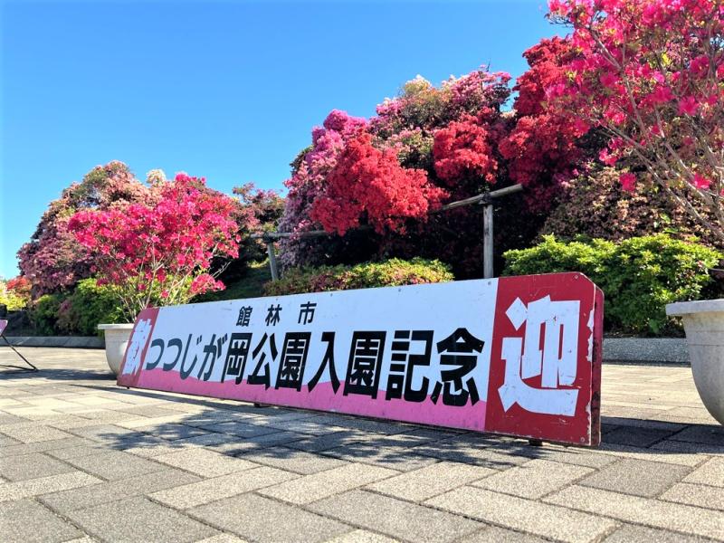 正面の画像