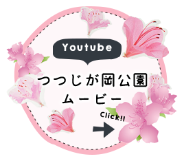 youtube つつじが岡公園ムービー　check！！