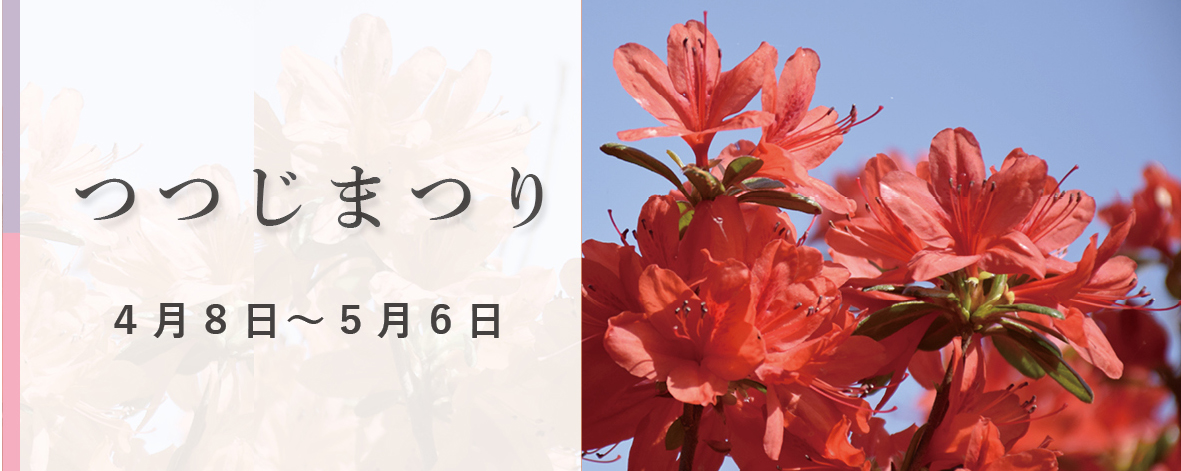 つつじまつりの画像の画像